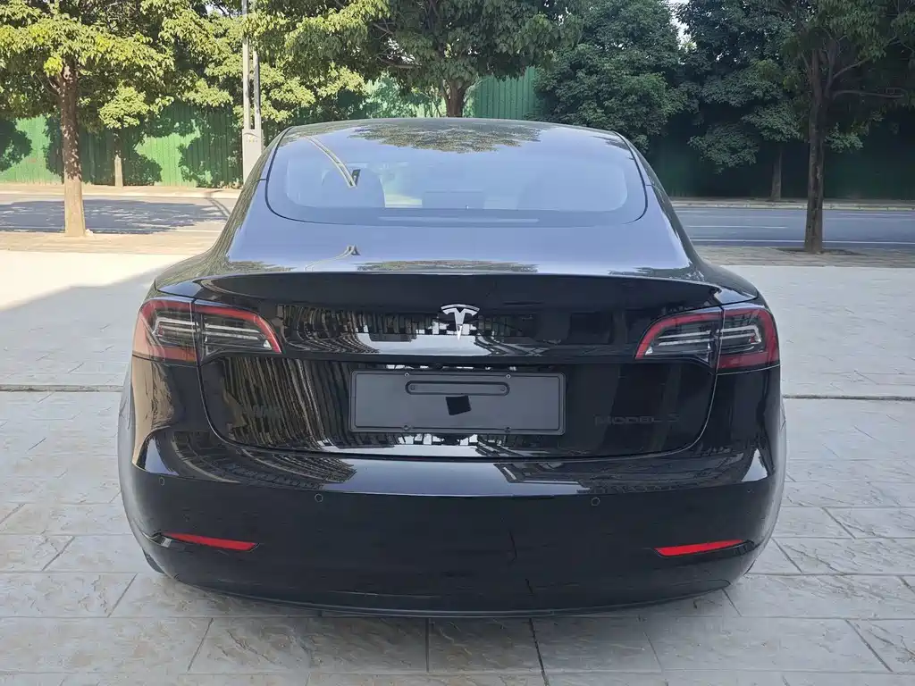 Tesla Model 3 — миниатюра 7