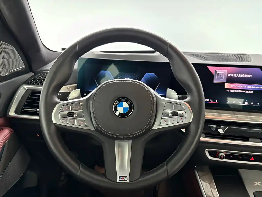 BMW X5 — миниатюра 17