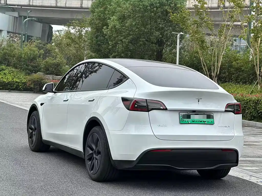 Tesla Model Y — миниатюра 4