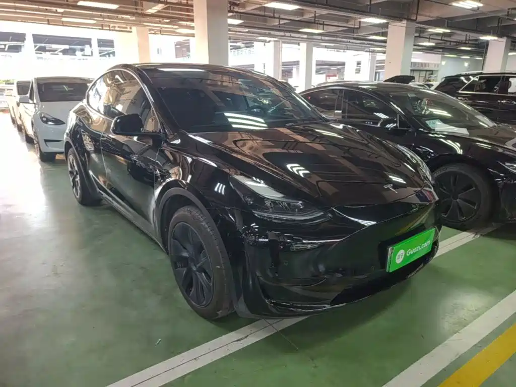 Tesla Model Y — миниатюра 4