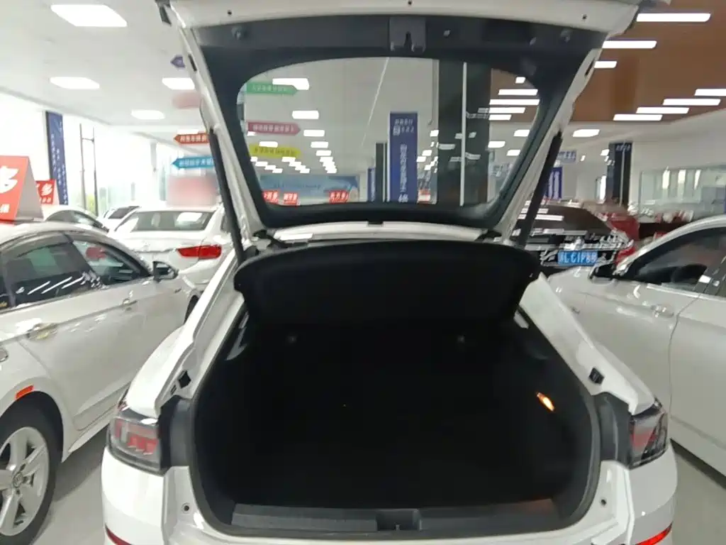 Volkswagen Lamando — миниатюра 19