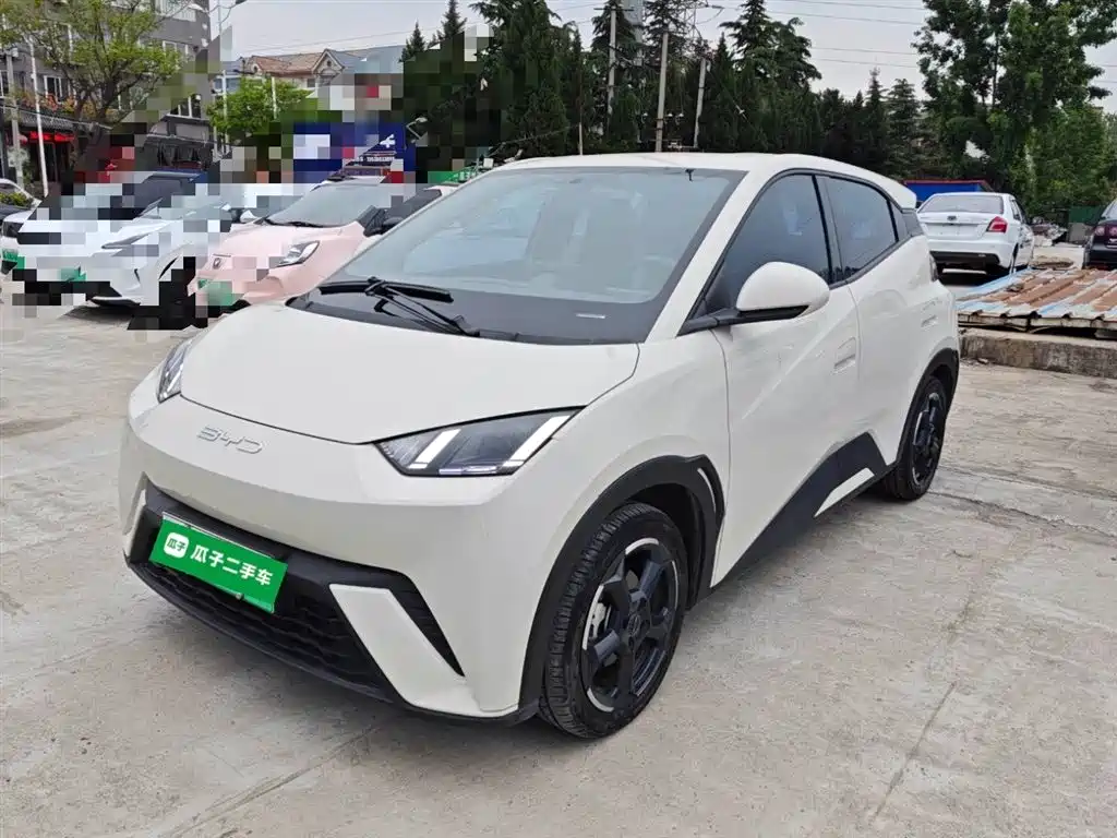 Byd Seagull 2023