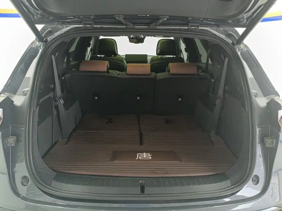 BYD Tang New Energy — миниатюра 4