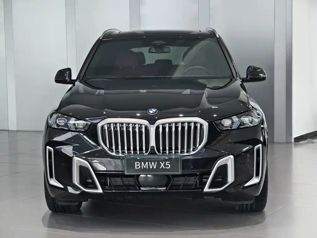 BMW X5 — миниатюра 2