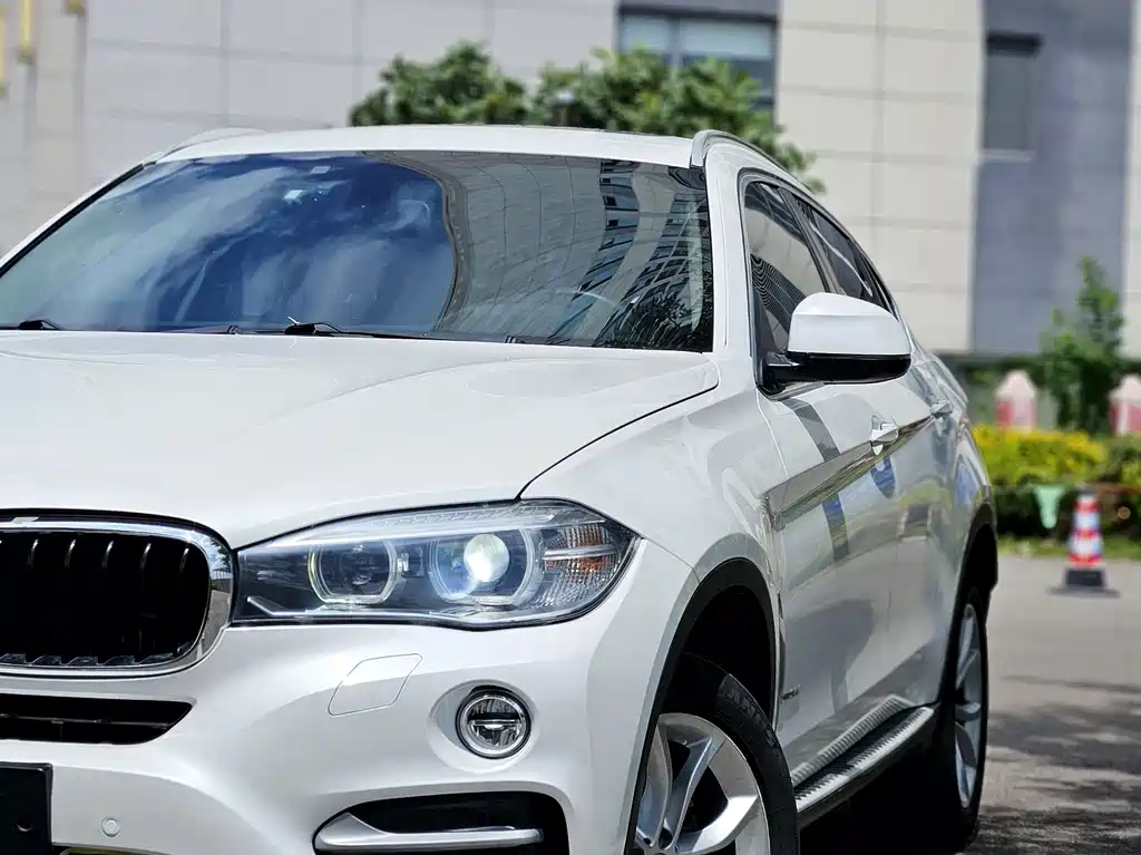 BMW X6 — миниатюра 23