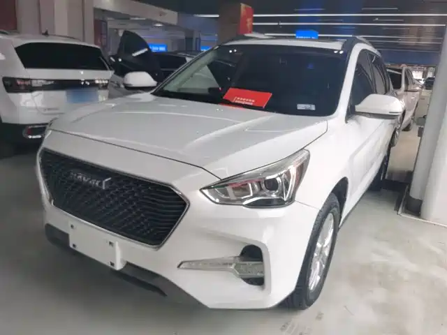 2019 Haval M6