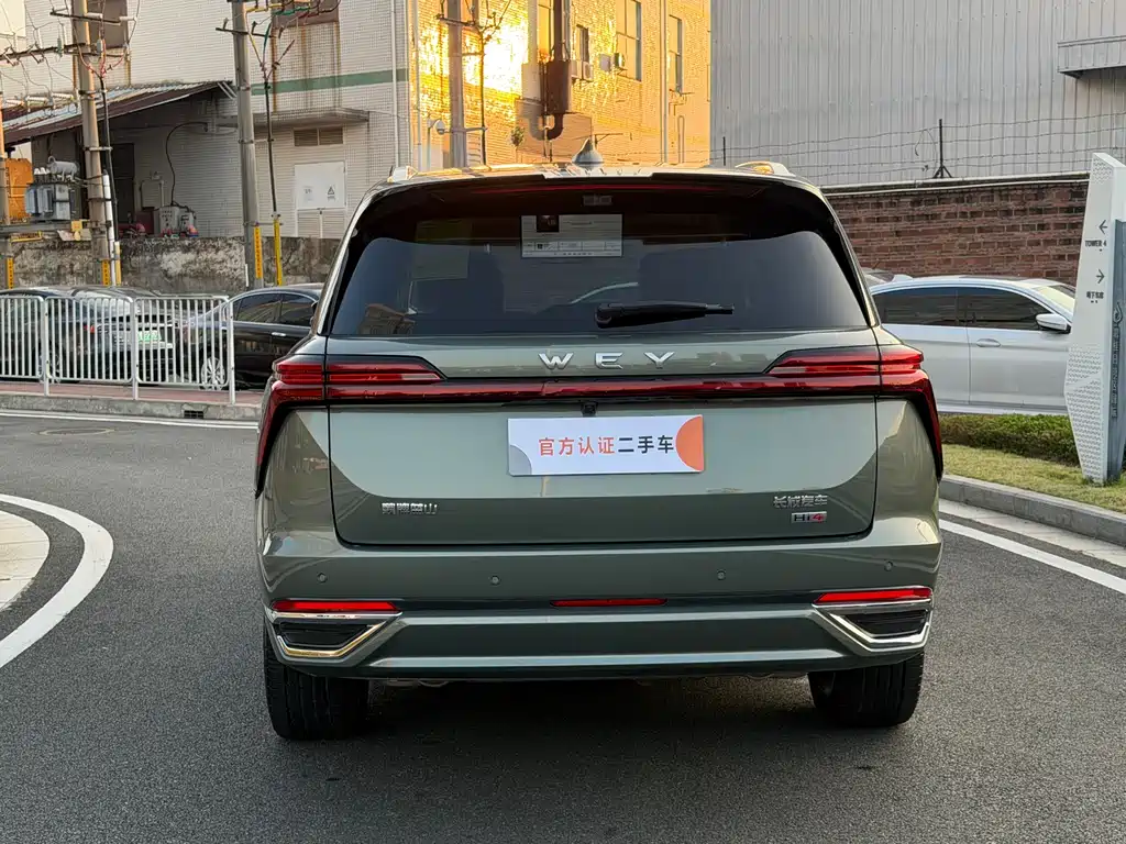 WEI PAI WEI BRAND BLUE MOUNTAIN