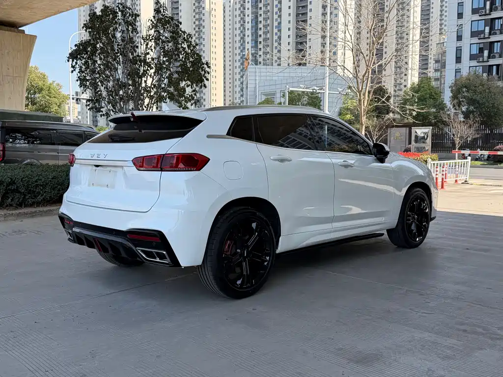 WEI PAI WEI BRAND VV7