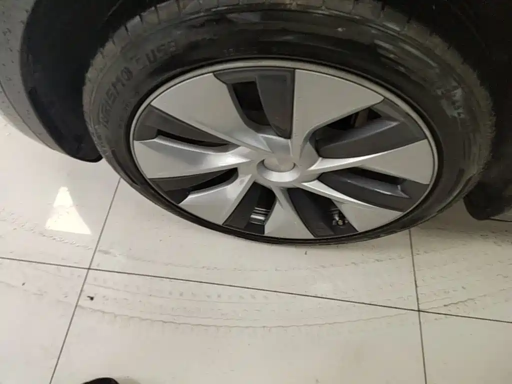 Tesla Model Y — миниатюра 23