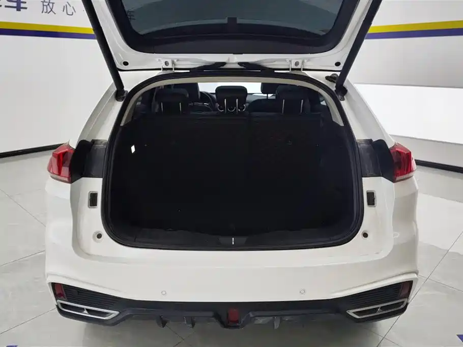 WEI PAI WEI BRAND VV5