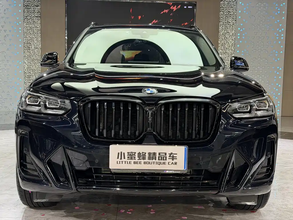 BMW X3 2023 xDrive30i Lead M