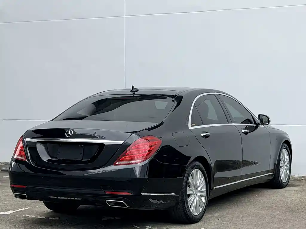 Mercedes-Benz S-Class S 320 L Luxury Type, фото 13