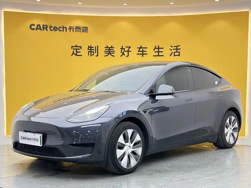 Tesla Model Y — миниатюра 10