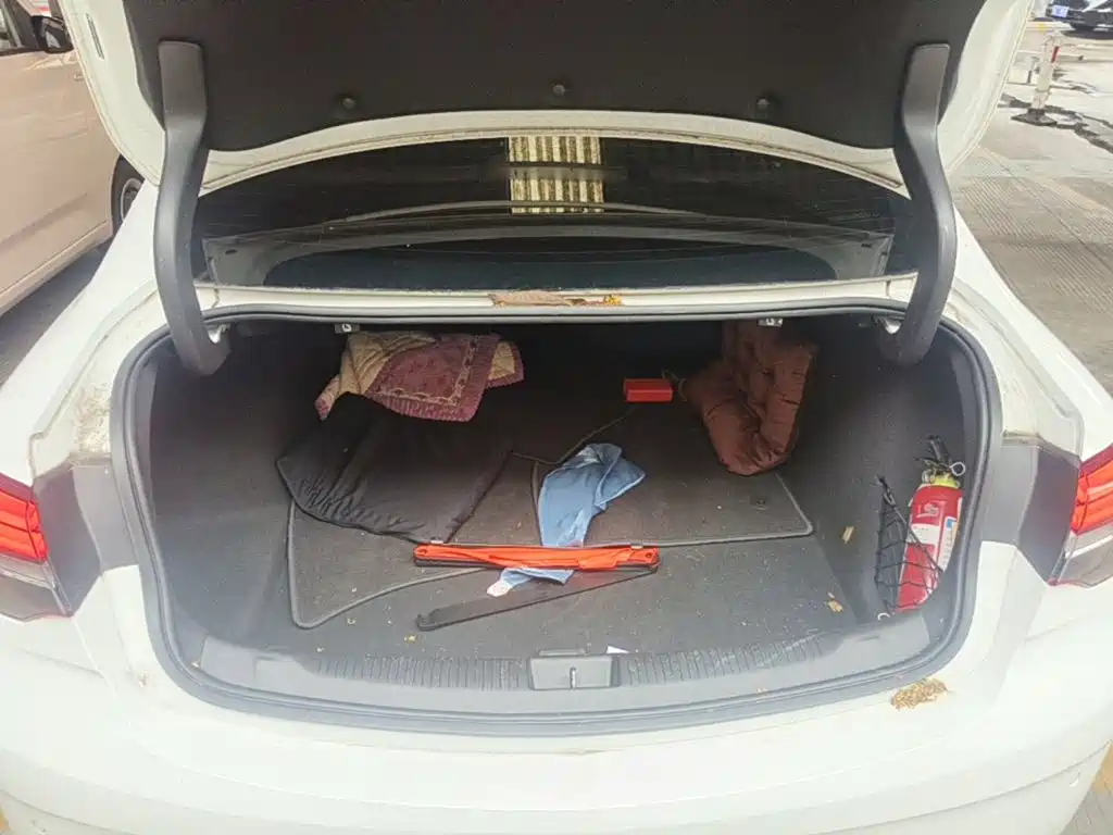 Buick Regal — миниатюра 19