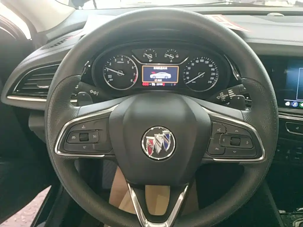 Buick Regal — миниатюра 11