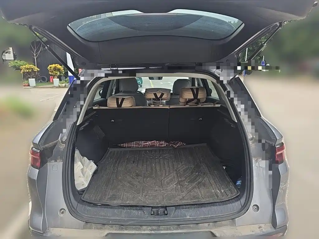 BYD Pro New Energy — миниатюра 15