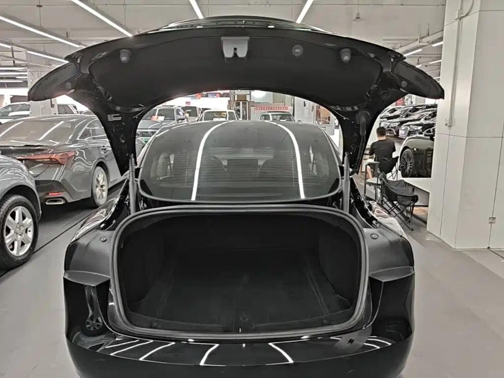 Tesla Model 3 — миниатюра 19