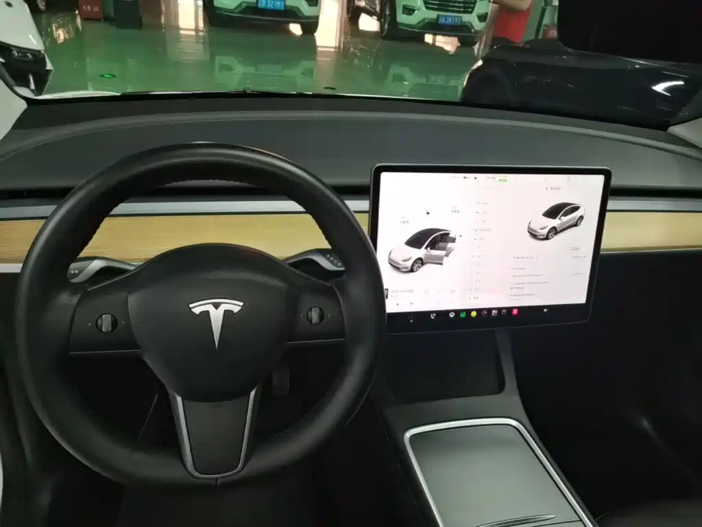 Tesla Model Y — миниатюра 14