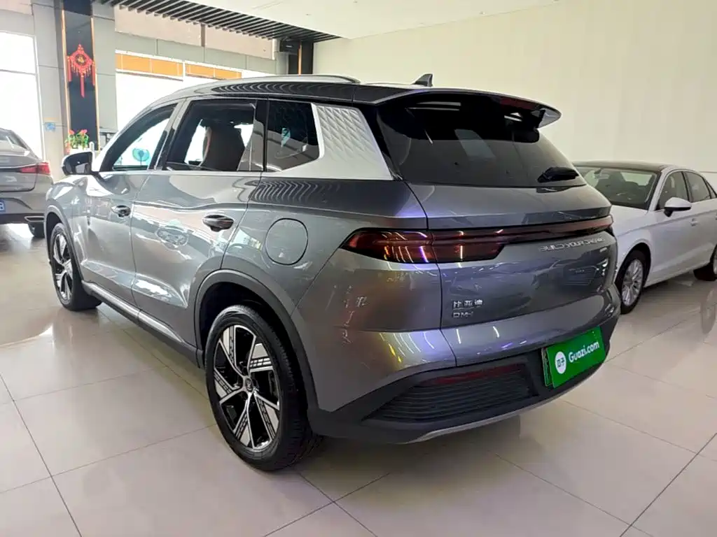 BYD Pro New Energy — миниатюра 5