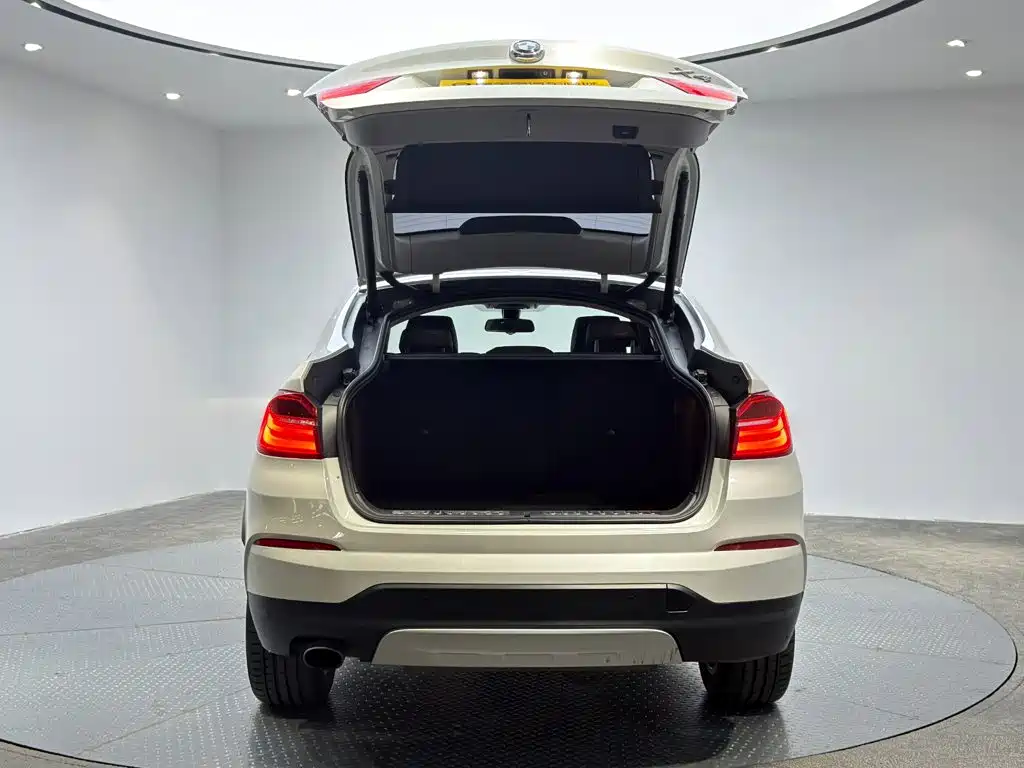 BMW X4 — миниатюра 7