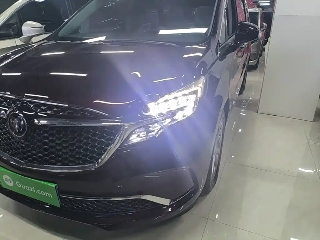 Buick GL8 — миниатюра 24