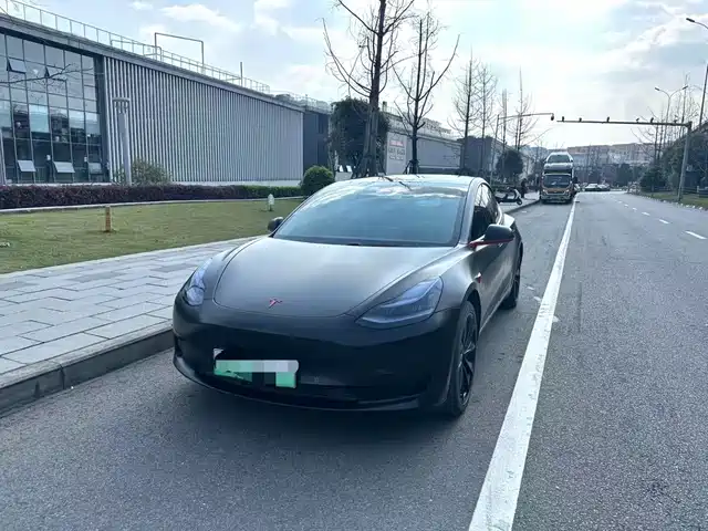 TESLA MODEL 3 2020
