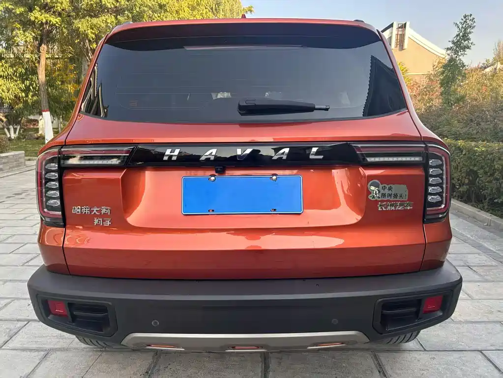 HAVAL BIG DOG