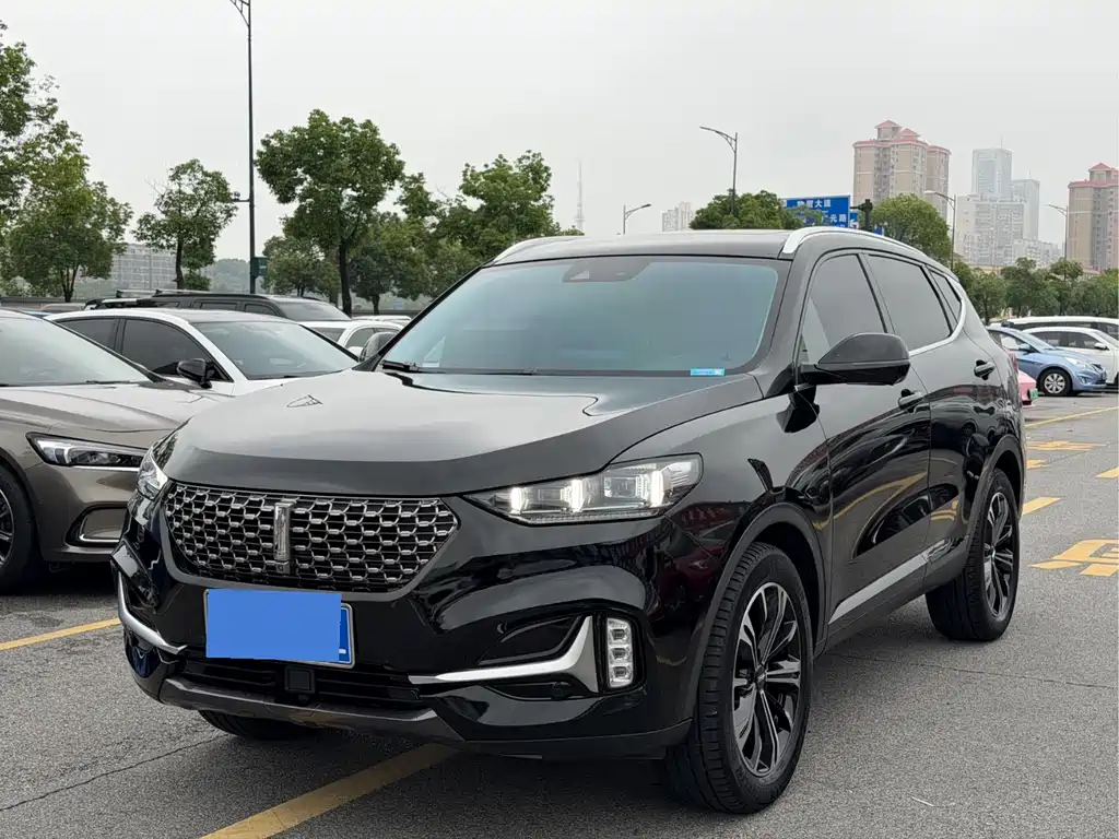 Купить Wey Wey VV6