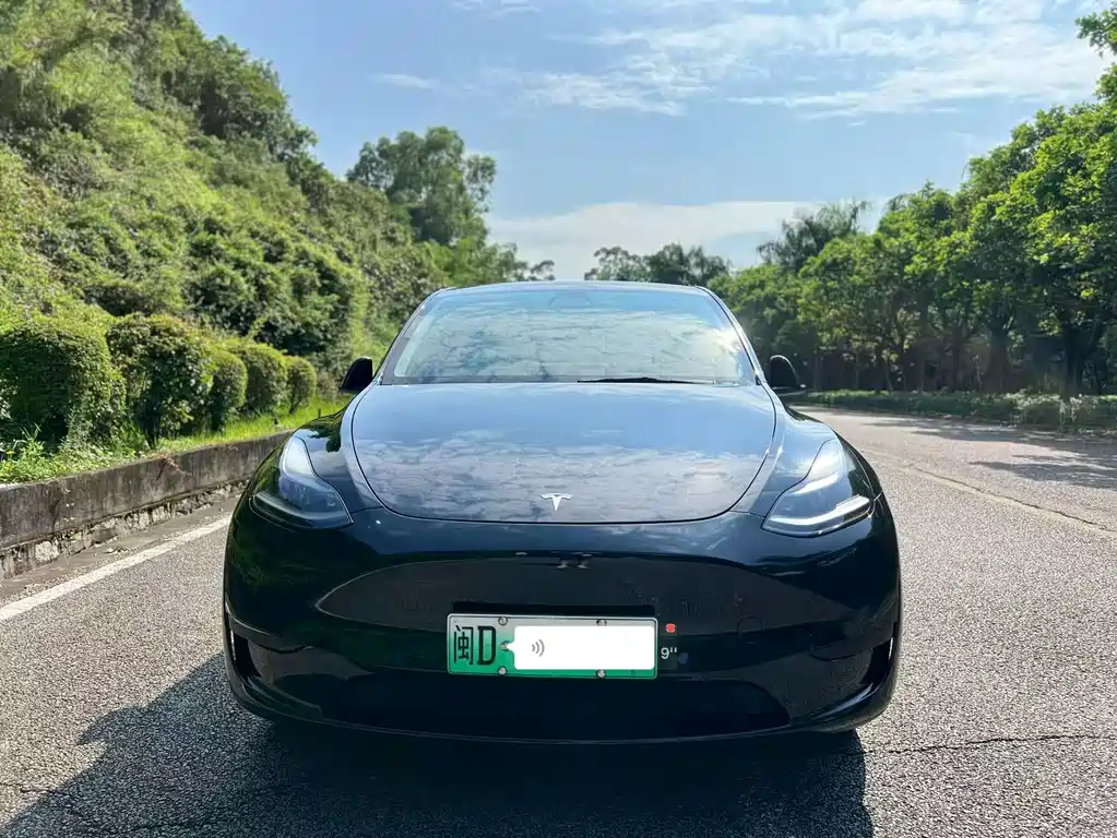 Tesla Model Y — миниатюра 2