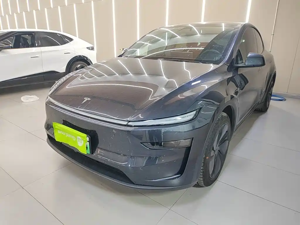 Tesla Model Y — миниатюра 2