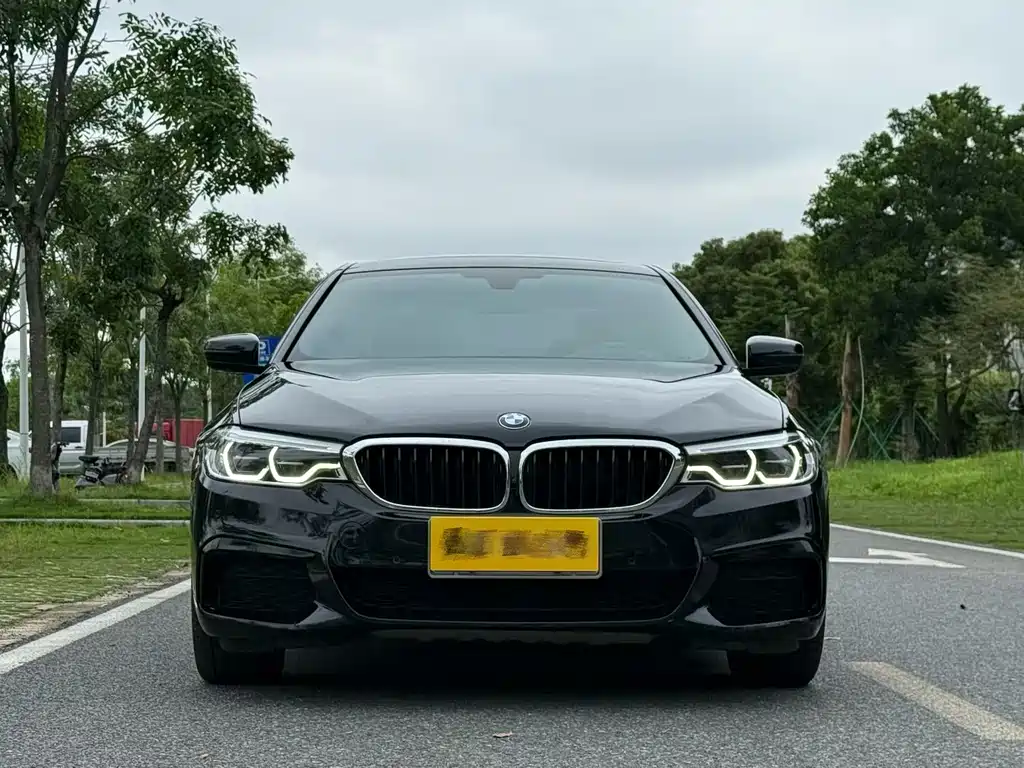 BMW 5 Series — миниатюра 2