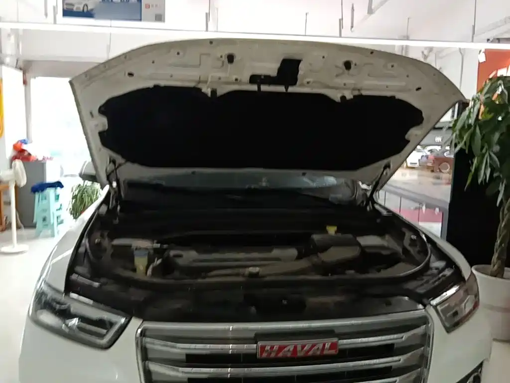 Haval H6 — миниатюра 20