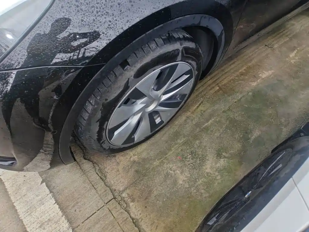 Tesla Model Y — миниатюра 23