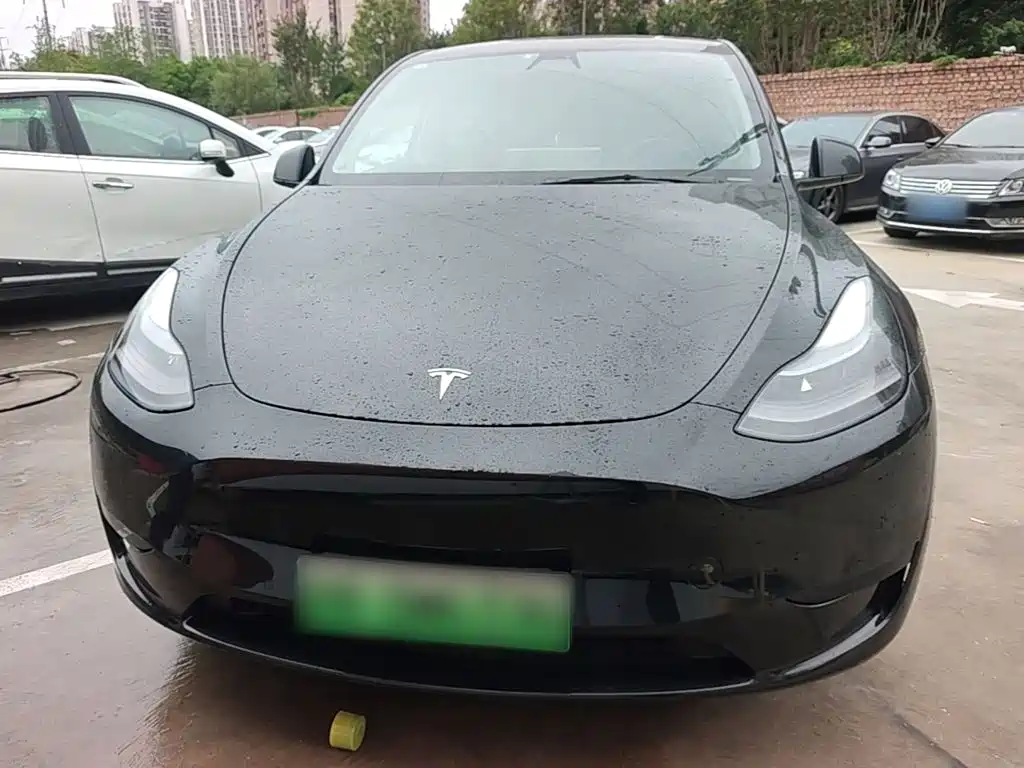 Tesla Model Y — миниатюра 3