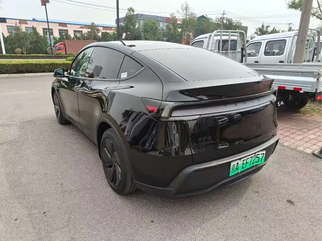 Tesla Model Y — миниатюра 8