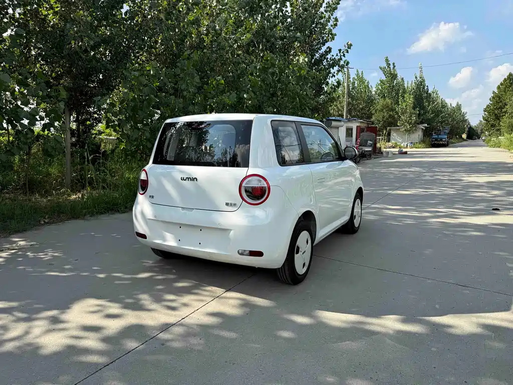 Qiyuan Lumin — миниатюра 6
