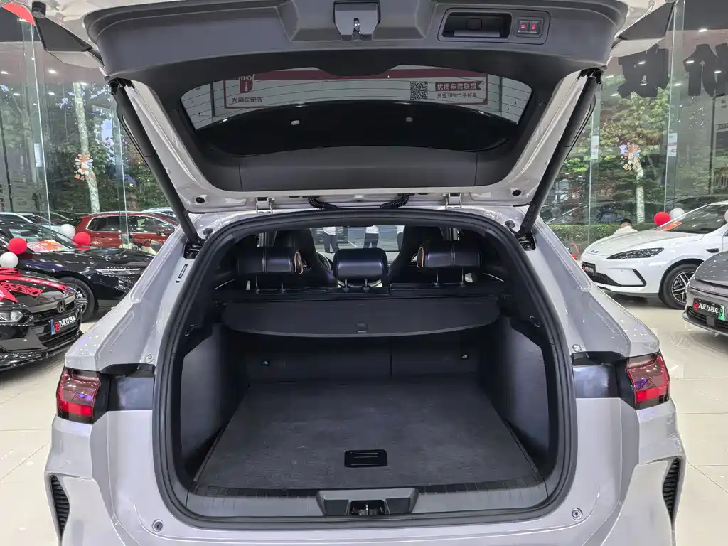BYD PLUS New Energy — миниатюра 11