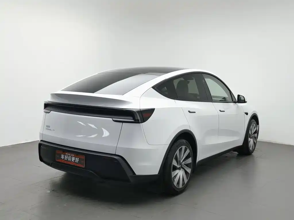 Tesla Model Y — миниатюра 2