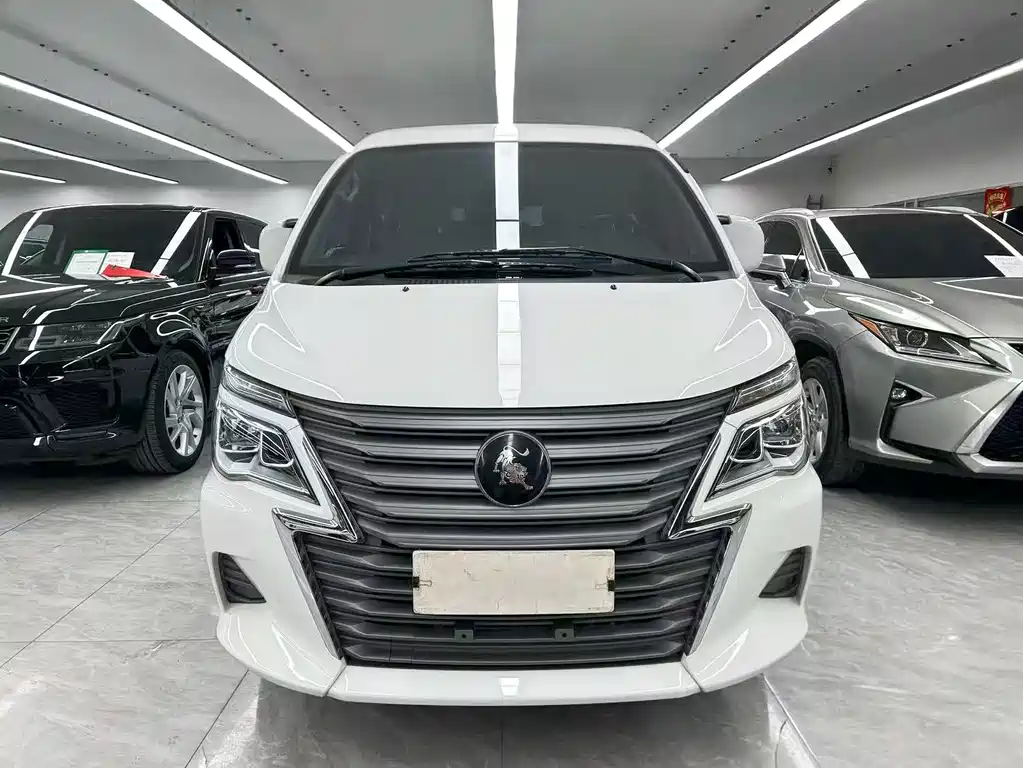 DONGFENG LINGZHI