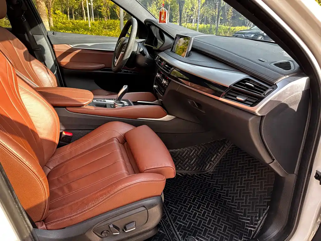 BMW X6 — миниатюра 7
