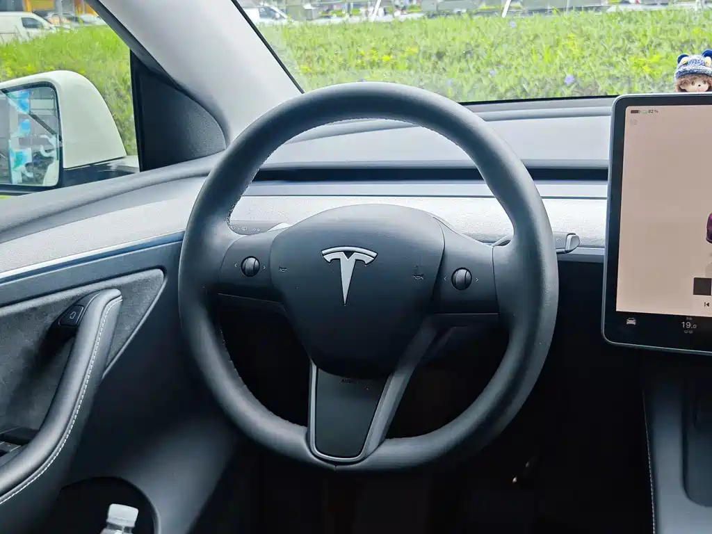 Tesla Model Y — миниатюра 7