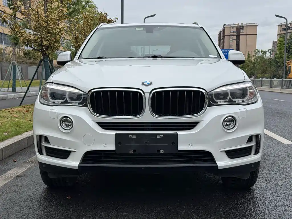 BMW X5 (Import) — миниатюра 2