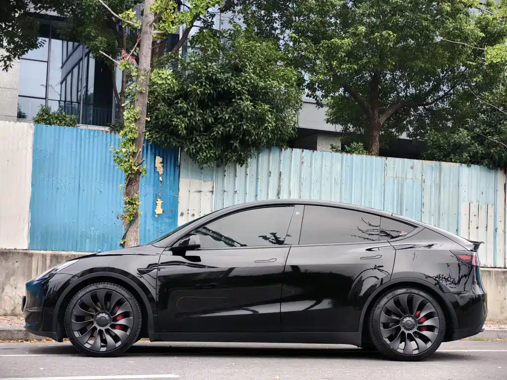 Tesla Model Y — миниатюра 3