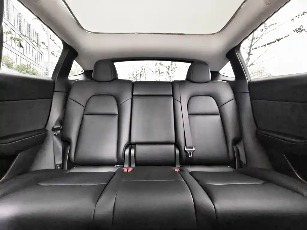 Tesla Model Y — миниатюра 11