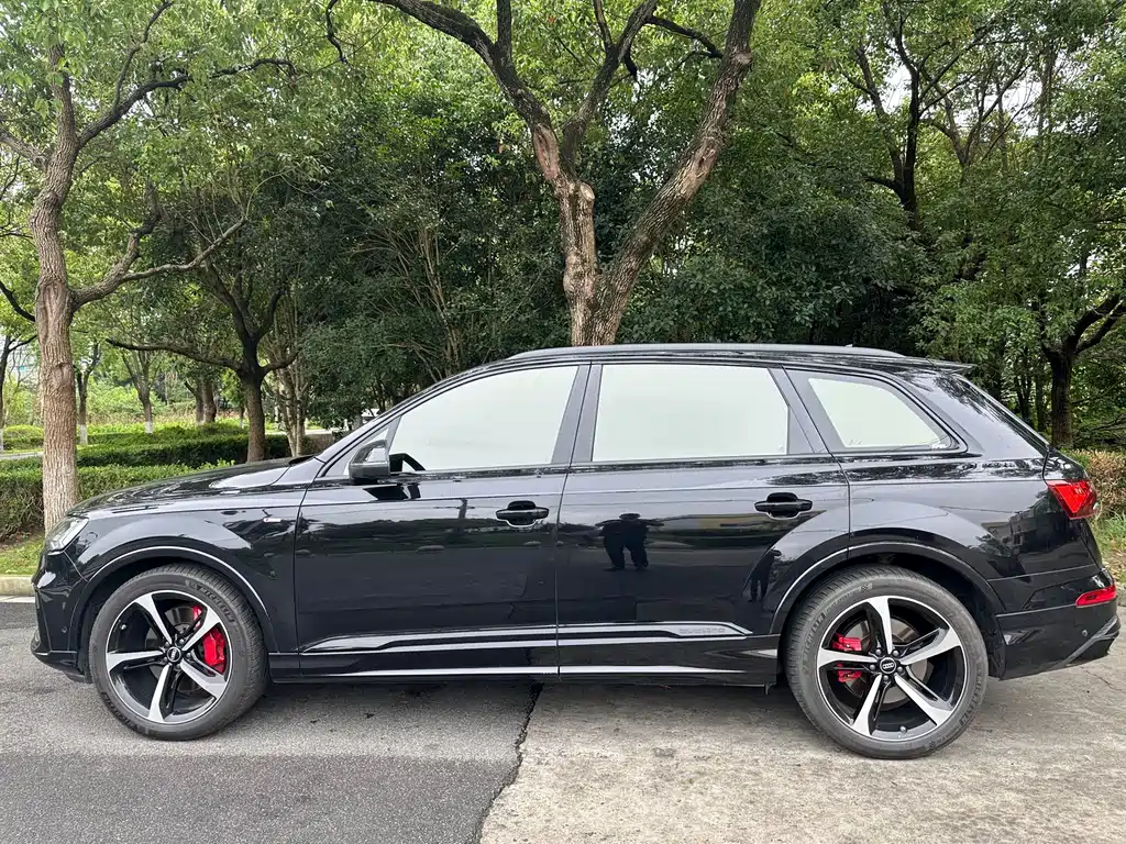 Audi Q7 — миниатюра 5