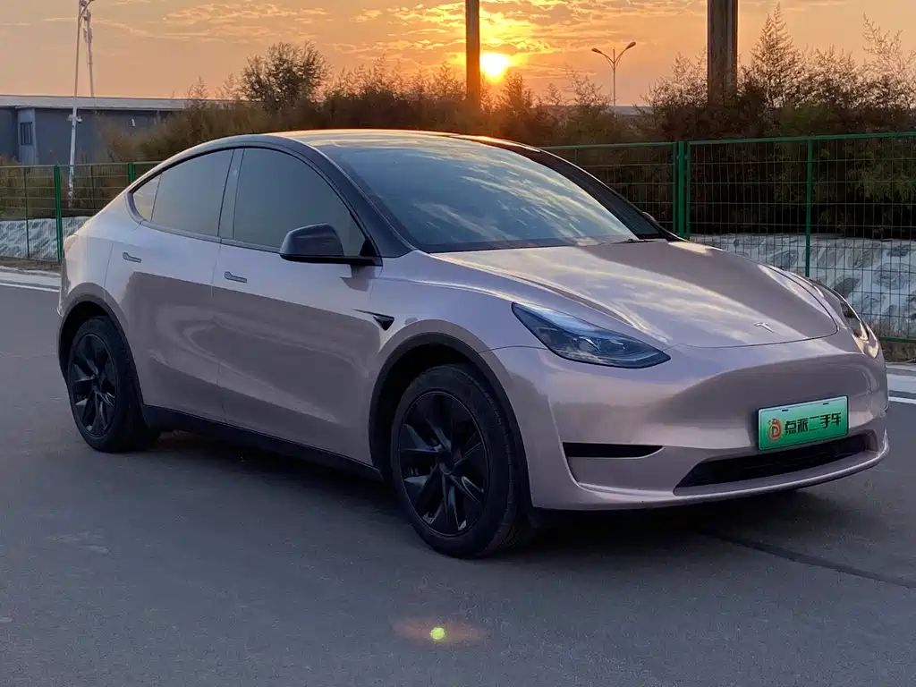 Tesla Model Y — миниатюра 3