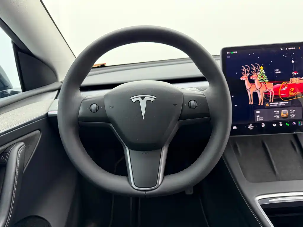 Tesla Model Y — миниатюра 11