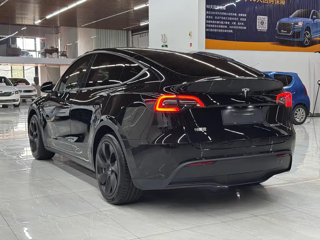 Tesla Model Y — миниатюра 4