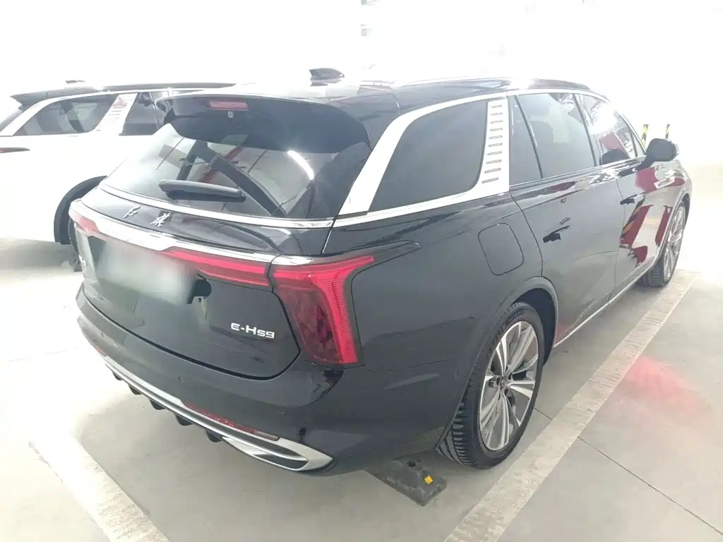 Hongqi Hongqi E-HS9 — миниатюра 6