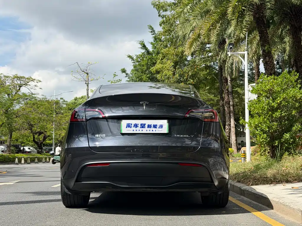 Tesla Model Y — миниатюра 5
